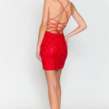 Adrienne Lucienne | Embroidered Lace Criss Cross Back Cocktail Dress