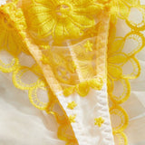 Sunlace Daisy | Embroidered Mesh Underwire Lingerie Set